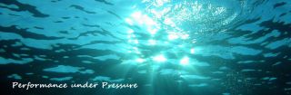 professional diving courses phuket Ocean Zone Divers