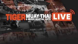 lose weight phuket Tiger Muay Thai