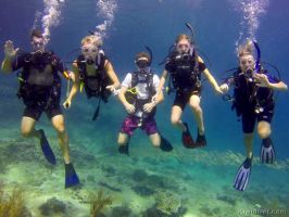scuba diving beginners courses phuket Kiwidiver Phuket | PADI 5 Star IDC