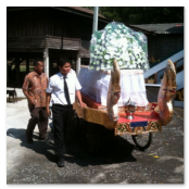 funeral courses phuket siam funeral and repatriation