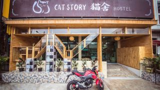 animal hotels phuket Cat Story Hotel