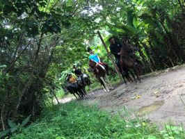 horseback riding nearby phuket Chalong Horseback Riding