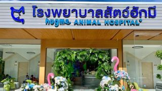 veterinarians phuket Hug Me Animal Hospital—โรงพยาบาลสัตว์ฮักมี
