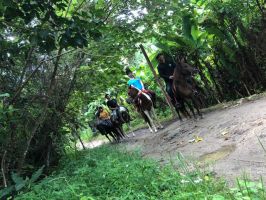 pony riding places in phuket Chalong Horseback Riding