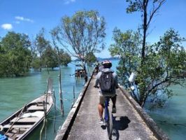 bicycle tours phuket Feel Phuket Bike & Hike