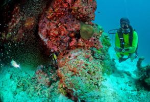 Dive Asia was established in 1988 and is Phuket's first PADI 5 Star Career Development Center. We offer a full range of award-winning scuba diving services and tours in one of the top ten scuba diving destinations in the world.