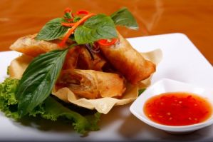 Fried Spring Rolls Copy1 504x337