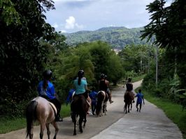 horse riding in phuket Chalong Horseback Riding