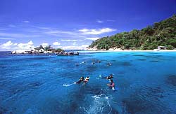 Group of scuba divers diving in Phuket at Raja Noi during Liveaboard