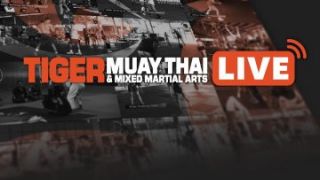 food handling licence courses phuket Tiger Muay Thai